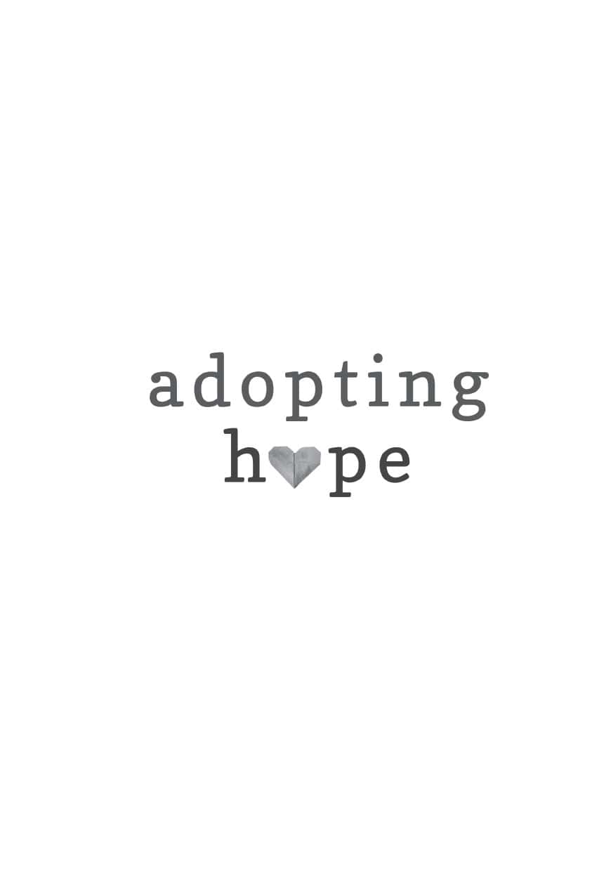 Adopting Hope Stories and Real Life Advice from Birthparents Adoptive Parents and Adoptees - image 1