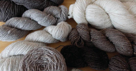 All naturally colored yarns AN INTRODUCTION TO KEEPING FIBER ANIMALS - photo 9