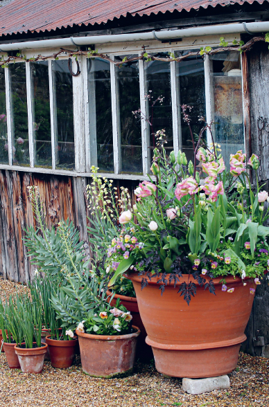 WHAT AM I HOPING TO GET OUT OF GROWING CUT FLOWERS Is it simply the joy of the - photo 3