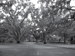 Dr. Richard M. Wright Prayer Expedition at Epworth by the Sea