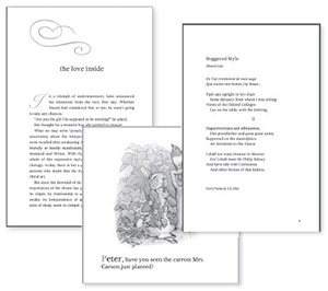 Beautiful industry-standard predesigned book templates for use in Microsoft - photo 1