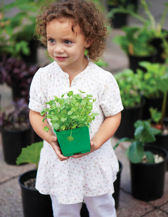 Chloe Rose Elia one of my young farmers market customers picks out herbs - photo 4