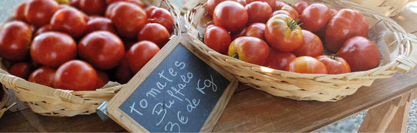 Cooking in the South of France An Elegant View on Classic French Dishes - photo 6