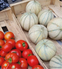 Cooking in the South of France An Elegant View on Classic French Dishes - photo 4