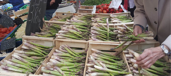 Cooking in the South of France An Elegant View on Classic French Dishes - photo 5