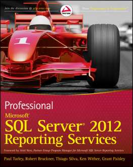 Paul Turley Professional Microsoft SQL Server 2012 Reporting Services