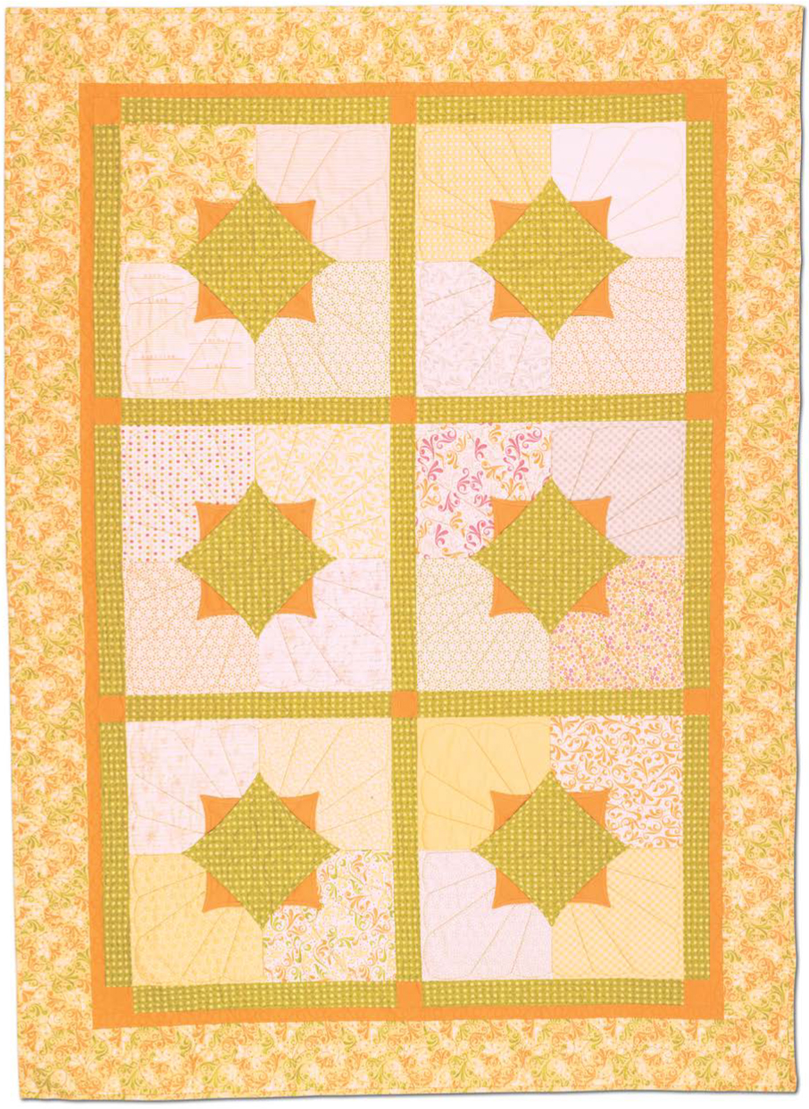 Starburst pieced by Betty Nowlin quilted by Julie Lawson Like flowers turning - photo 14