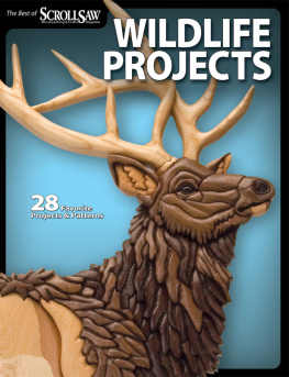 Lora S. Irish Wildlife Projects: 28 Favorite Projects & Patterns