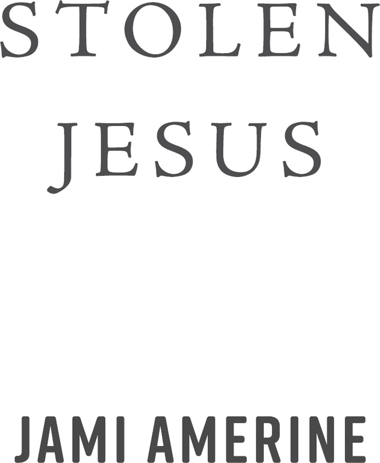 Stolen Jesus An Unconventional Search for the Real Savior - image 1