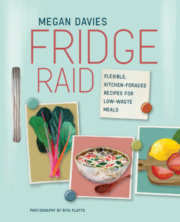 Megan Davies Fridge Raid