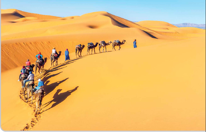 A camel caravan winds through the sand dunes of the Sahara Ibn Battuta - photo 10