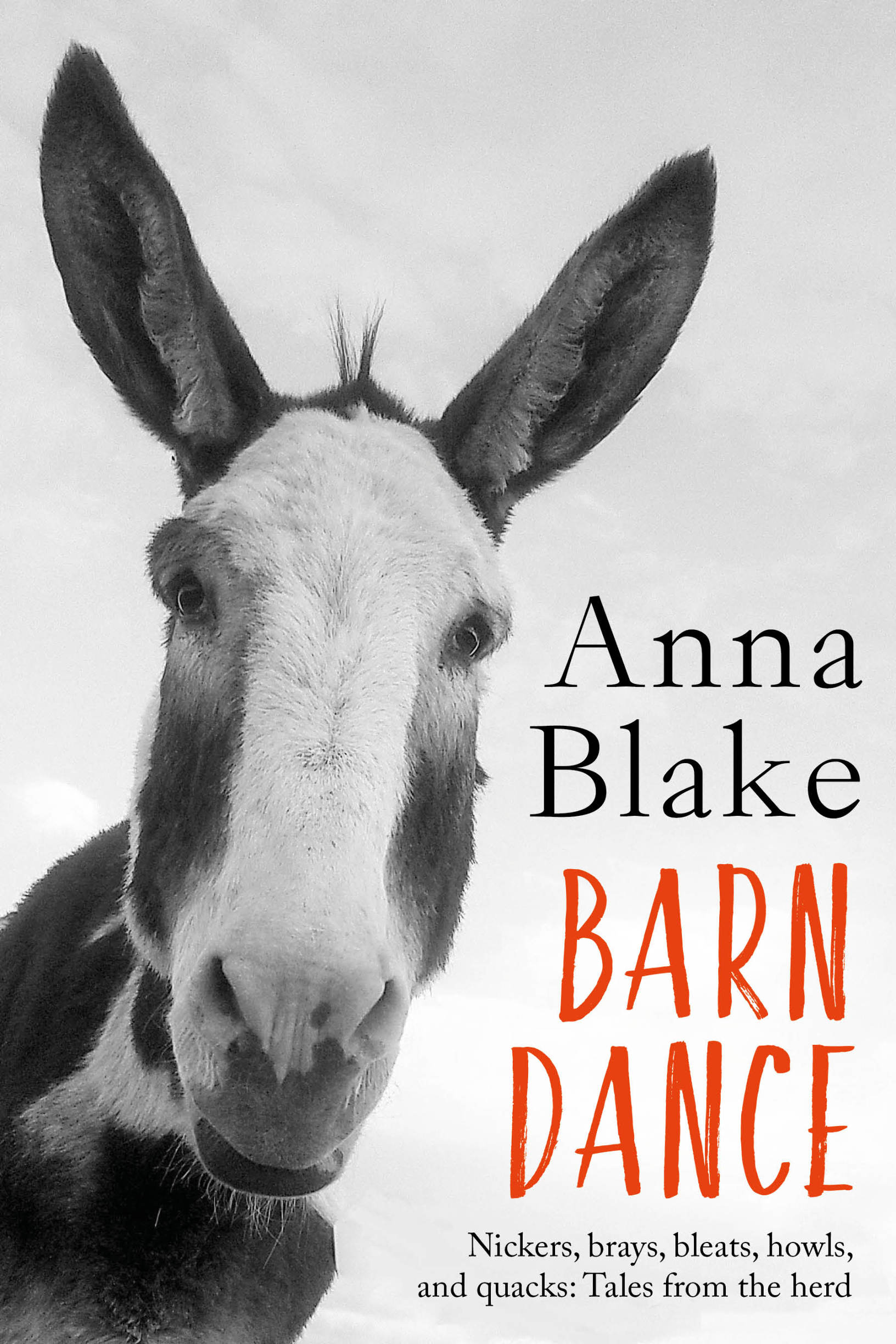 Barn Dance Anna Blake Other books by the author Stable Relation Relaxed - photo 1