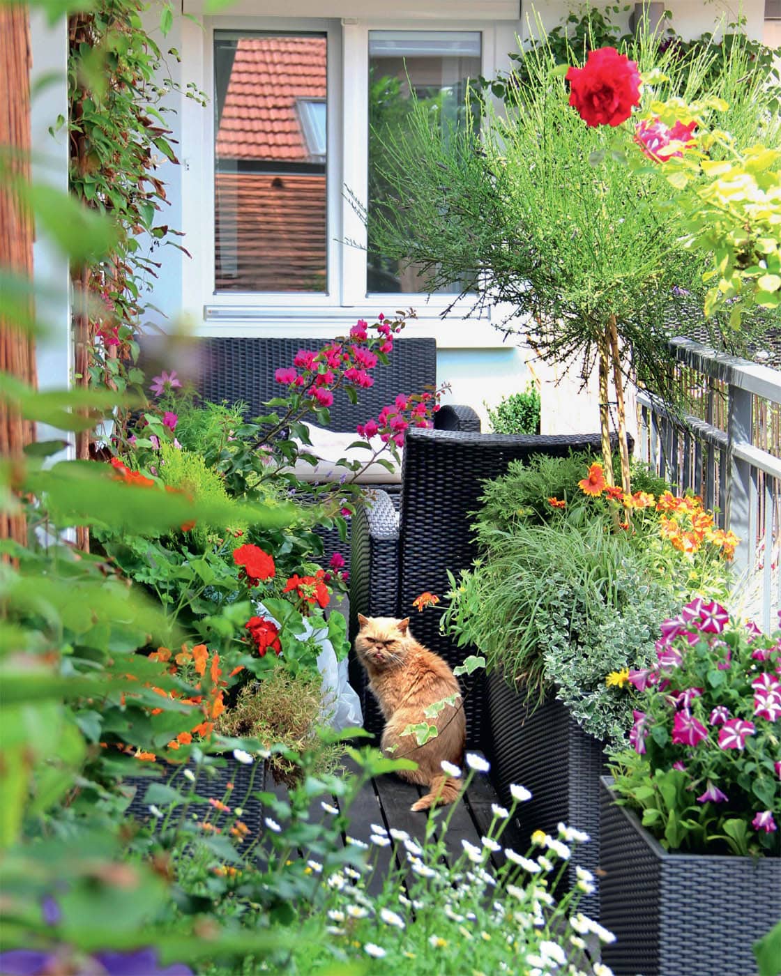 THE URBAN GARDEN 101 Ways to Grow Food and Beauty in the City KATHY JENTZ - photo 2