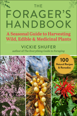Vickie Shufer The Foragers Handbook: A Seasonal Guide to Harvesting Wild, Edible & Medicinal Plants
