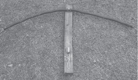 Primitive crossbow trap made with only wood and string This type of mechanism - photo 2