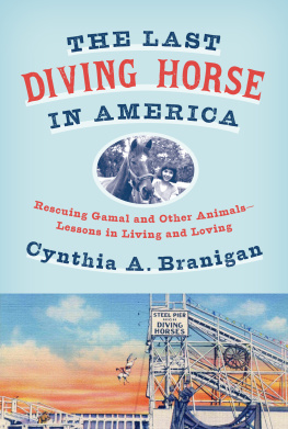 Cynthia A. Branigan - The Last Diving Horse in America: Rescuing Gamal and Other Animals—Lessons in Living and Loving