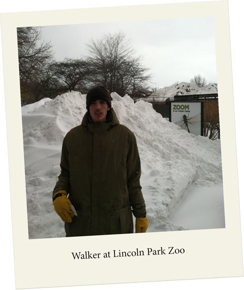 C HAPTER ZooTrainWalk December 2013 EVEN UNFLAPPABLE ABRAHAM LINCOLN - photo 3