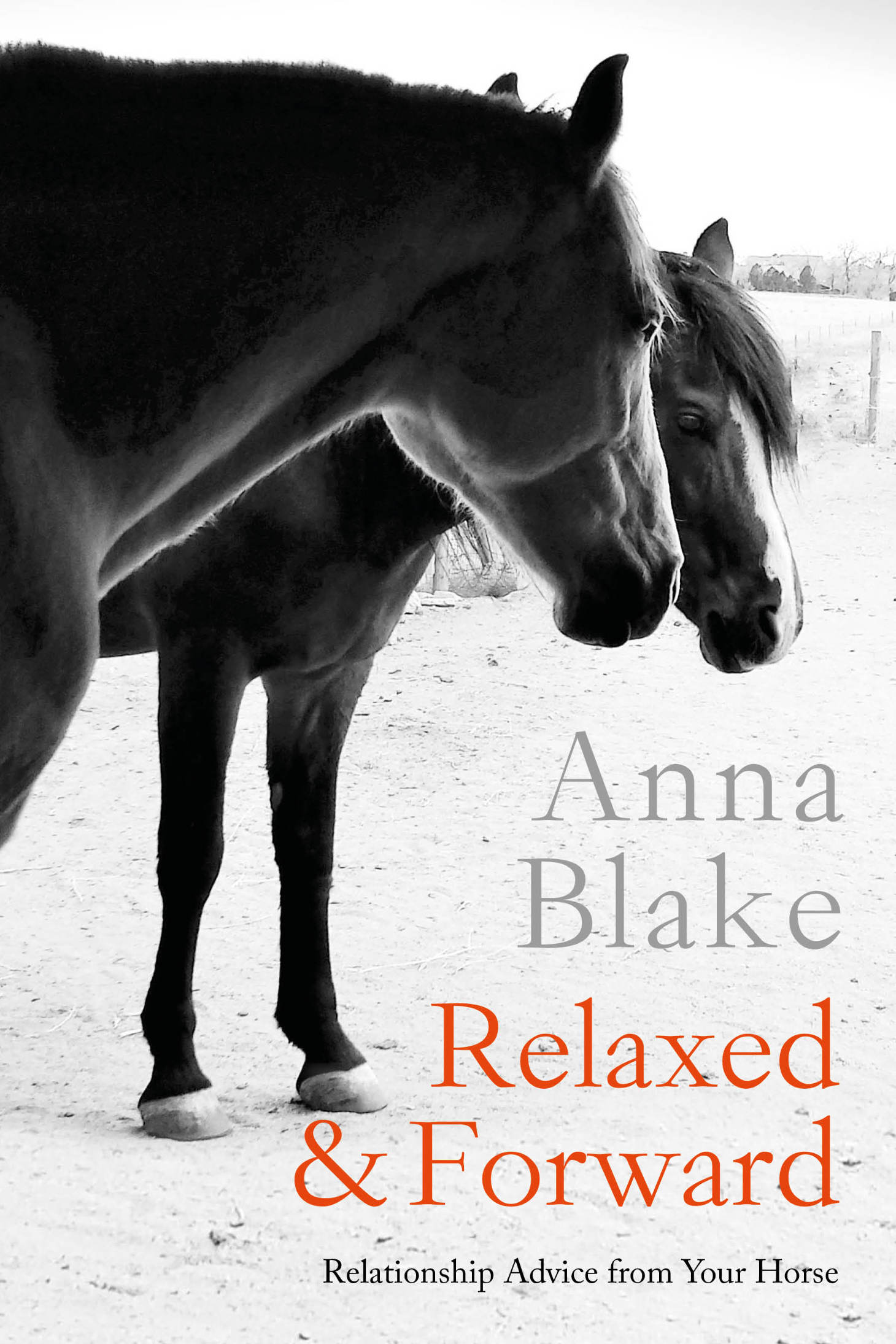 Relaxed and Forward Relationship Advice from Your Horse Anna Blake - photo 1