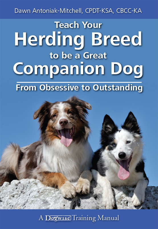 Teach Your Herding Breed to be a Great Companion Dog From Obsessive to - photo 1