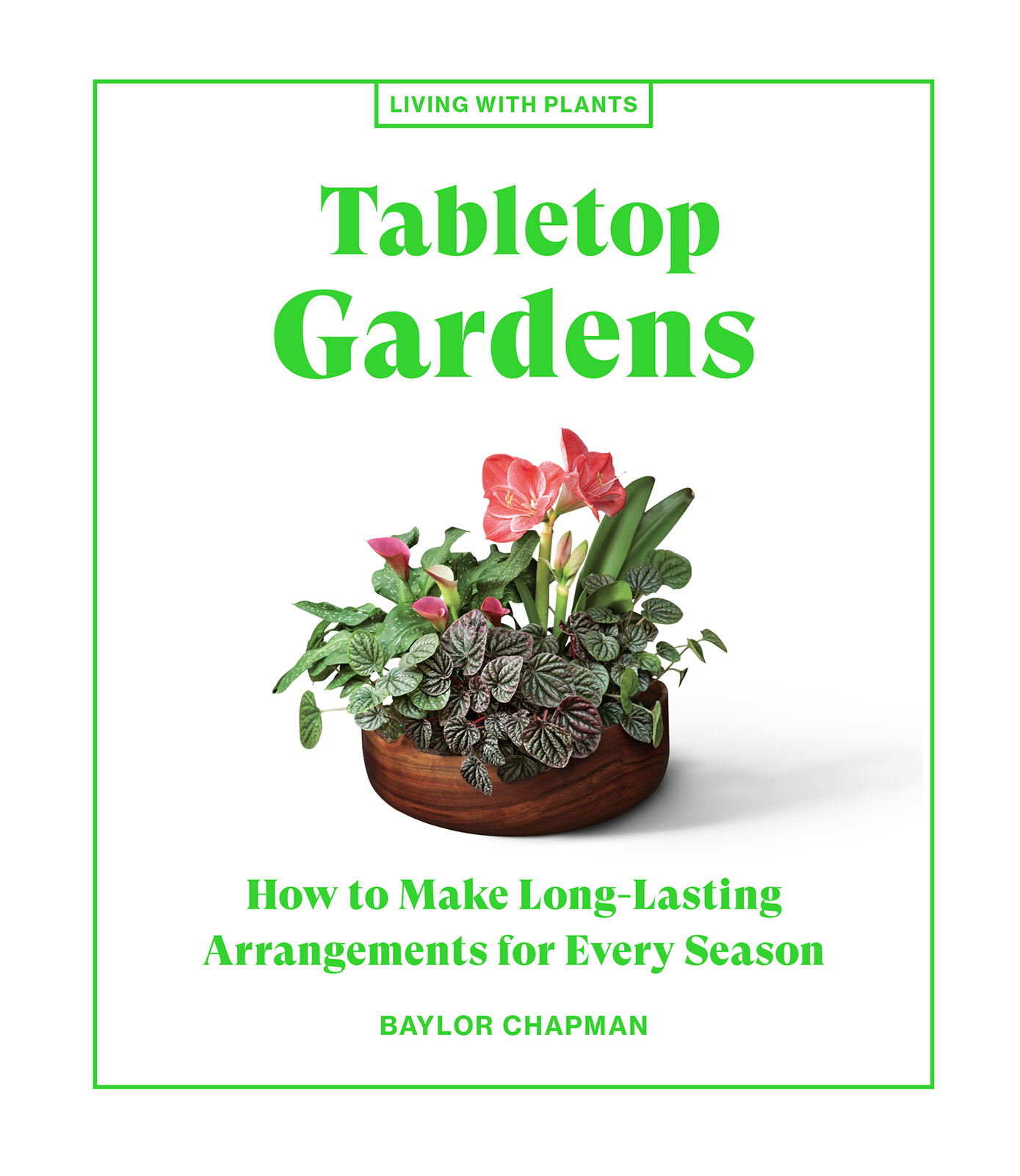 Tabletop Gardens How to Make Long-Lasting Arrangements for Every Season Baylor - photo 1