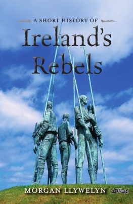 Morgan Llywelyn - A Short History of Irelands Rebels