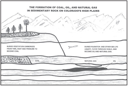 Nature provided the high plains with resources that played an important role in - photo 3