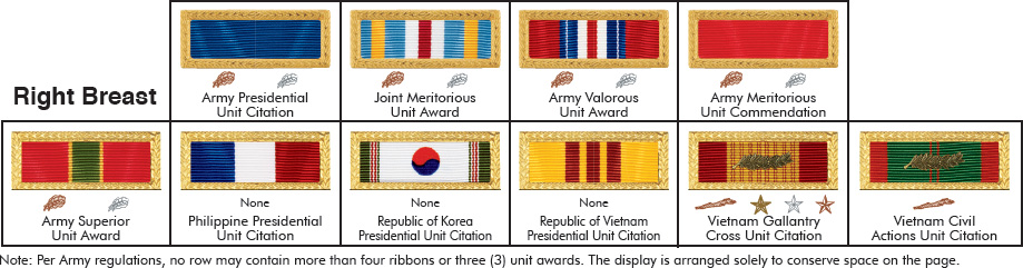 Army Order of Precedence Other Services in Italics Medal of Honor Army - photo 8