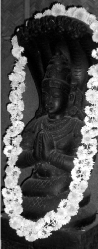 As Patanjali is seen as the incarnation of Adisesha the lower part of his body - photo 1