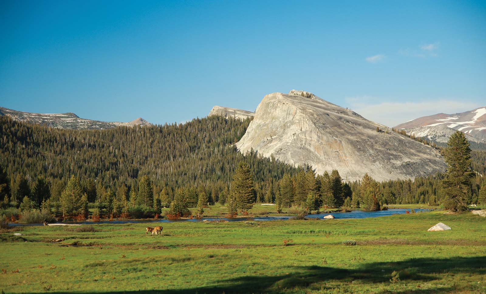 In this pristine subalpine meadow you can hike Lembert and Pothole Domes - photo 21