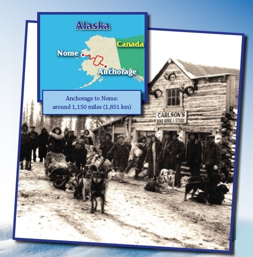 Sled dogs used to carry the mail important supplies and goods for trading - photo 2