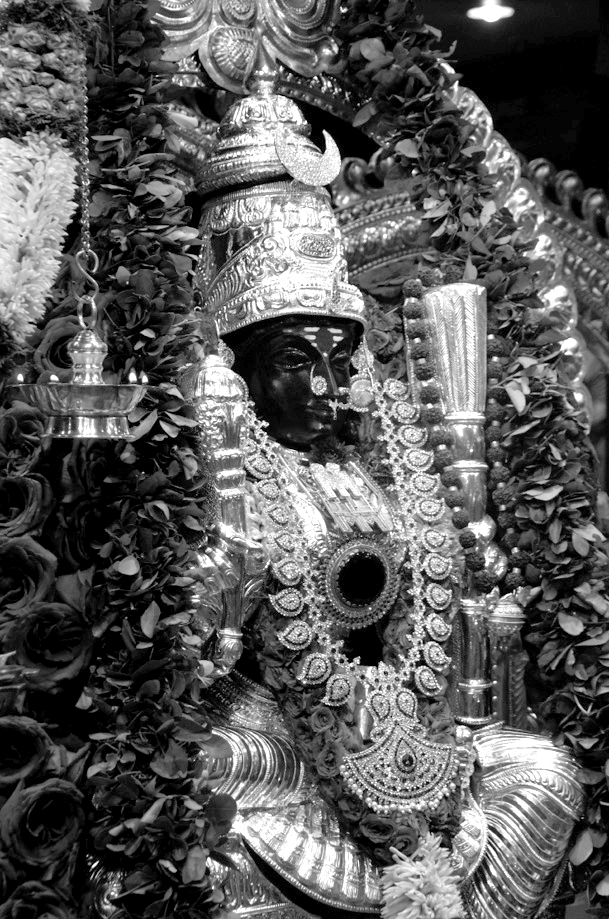 Rjarjevar Dev at Sri Rajarajeswari Peetam Rush NY Image credit Sri Vidya - photo 1