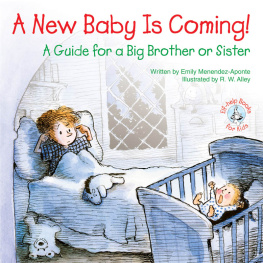 Emily Menendez-Aponte A New Baby Is Coming!: A Guide for a Big Brother or Sister