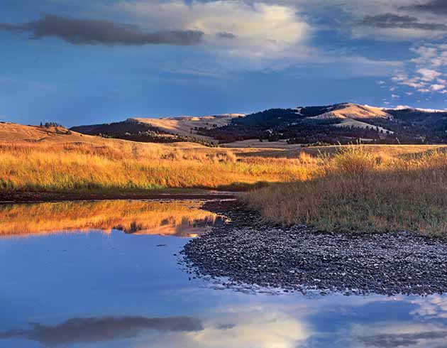 Slough Creek above eventually joins up with the Yellowstone River - photo 1