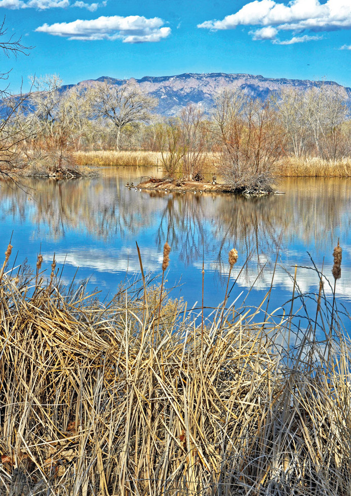 A pond reflects the sky and the Sandia Mountains at Rio Grande Nature Center - photo 1