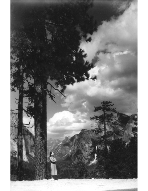 T HE MUSE OF YOSEMITE We had just emerged from the Wawona Tunnel when - photo 5