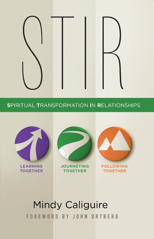 STIR Spiritual Transformation in Relationships - image 1