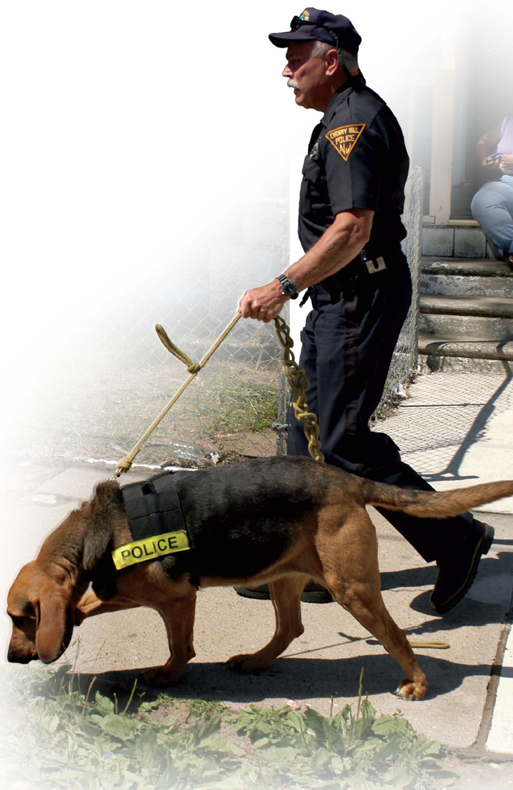 Dogs are valued members of many police forcesGregory quickly found the and told - photo 3