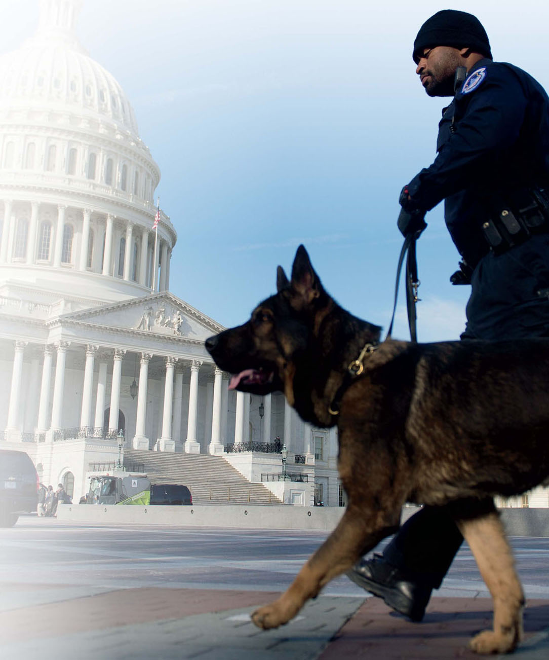 Gender Is No Barrier Most police dogs are male but female dogs also make great - photo 8