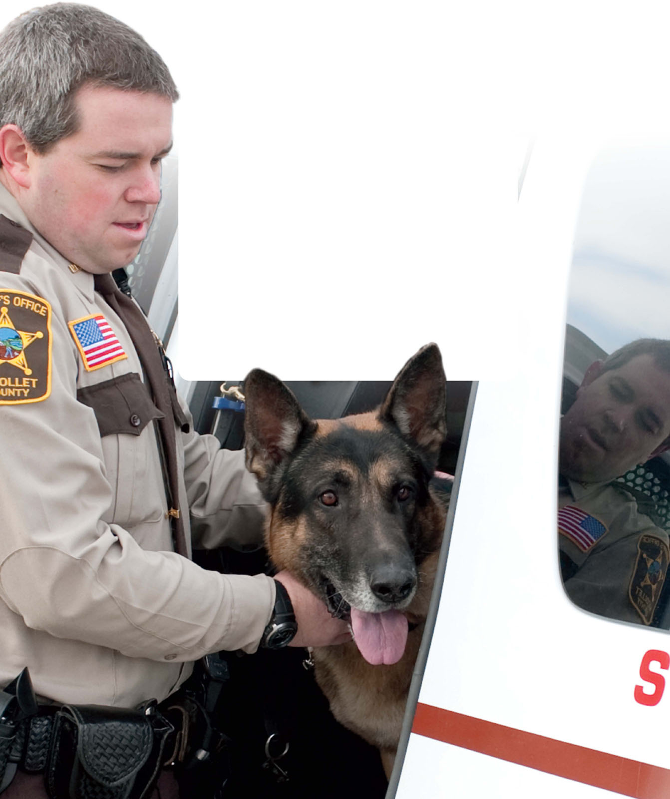 Once a dog has received basic obedience training it can begin police training - photo 9