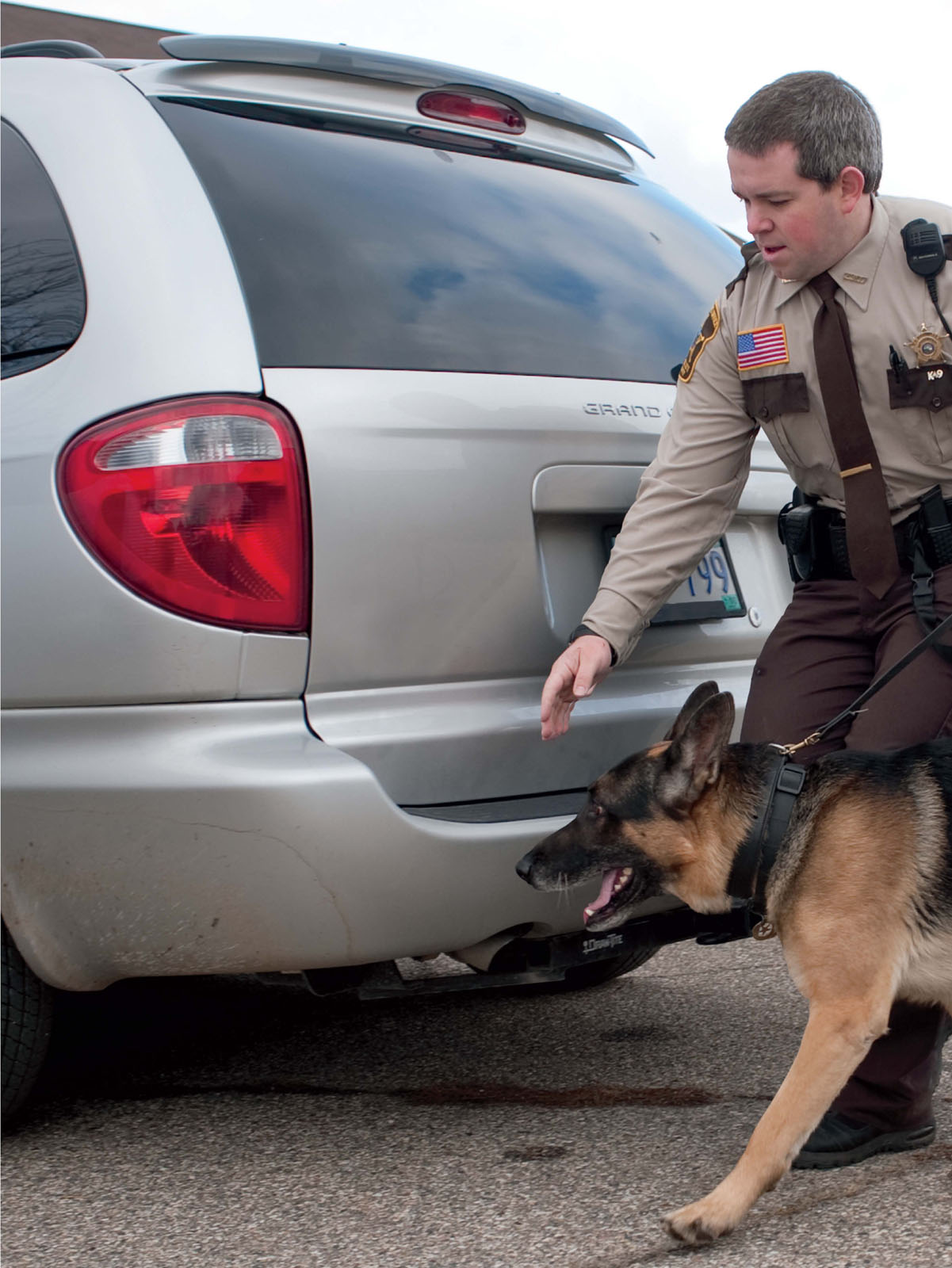 Jobs Police Dogs Can Perform article searches bomb sniffing tracking and - photo 10