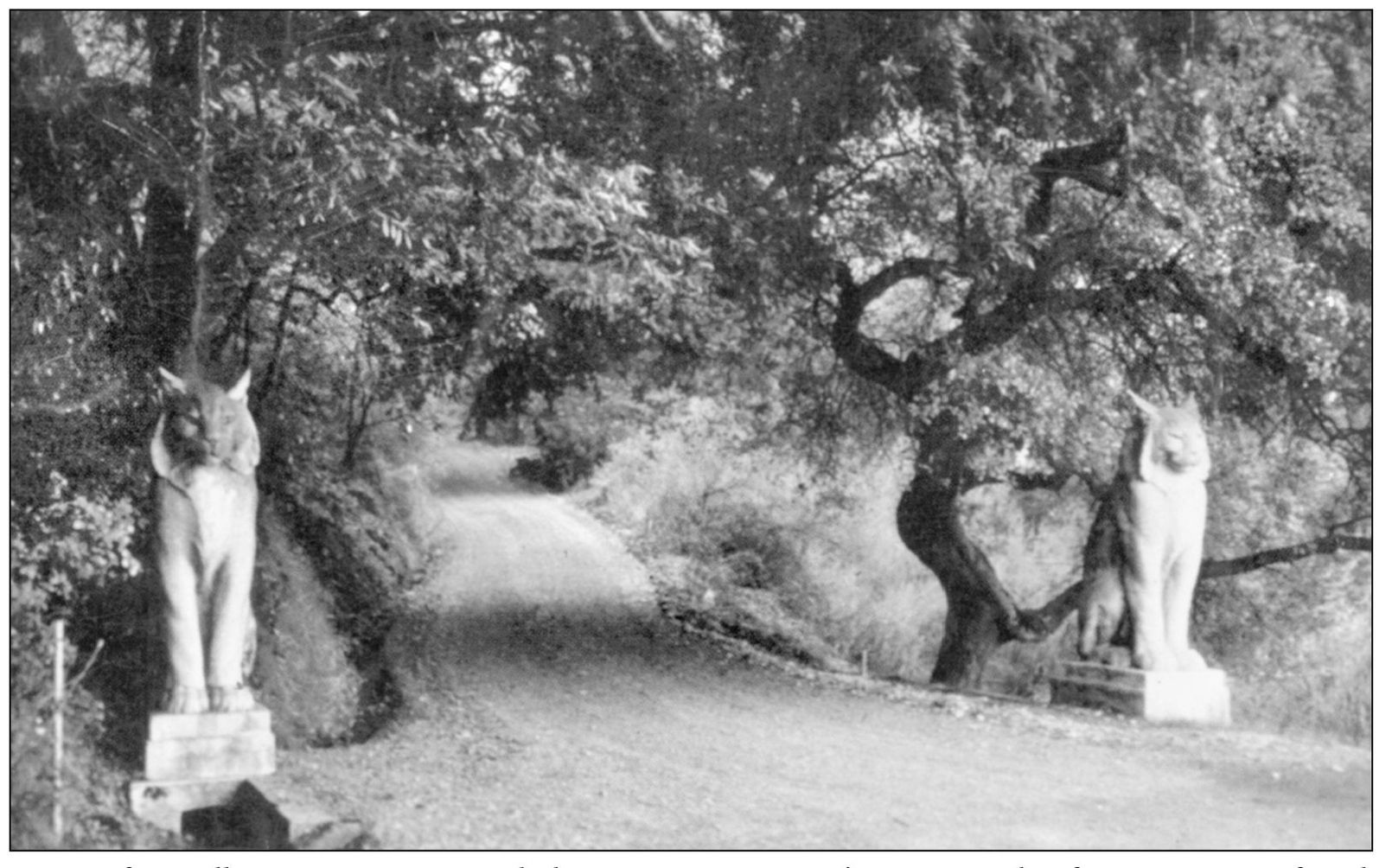 Two 8-foot-tall concrete cats guard the entrance to Poets Canyon the former - photo 5