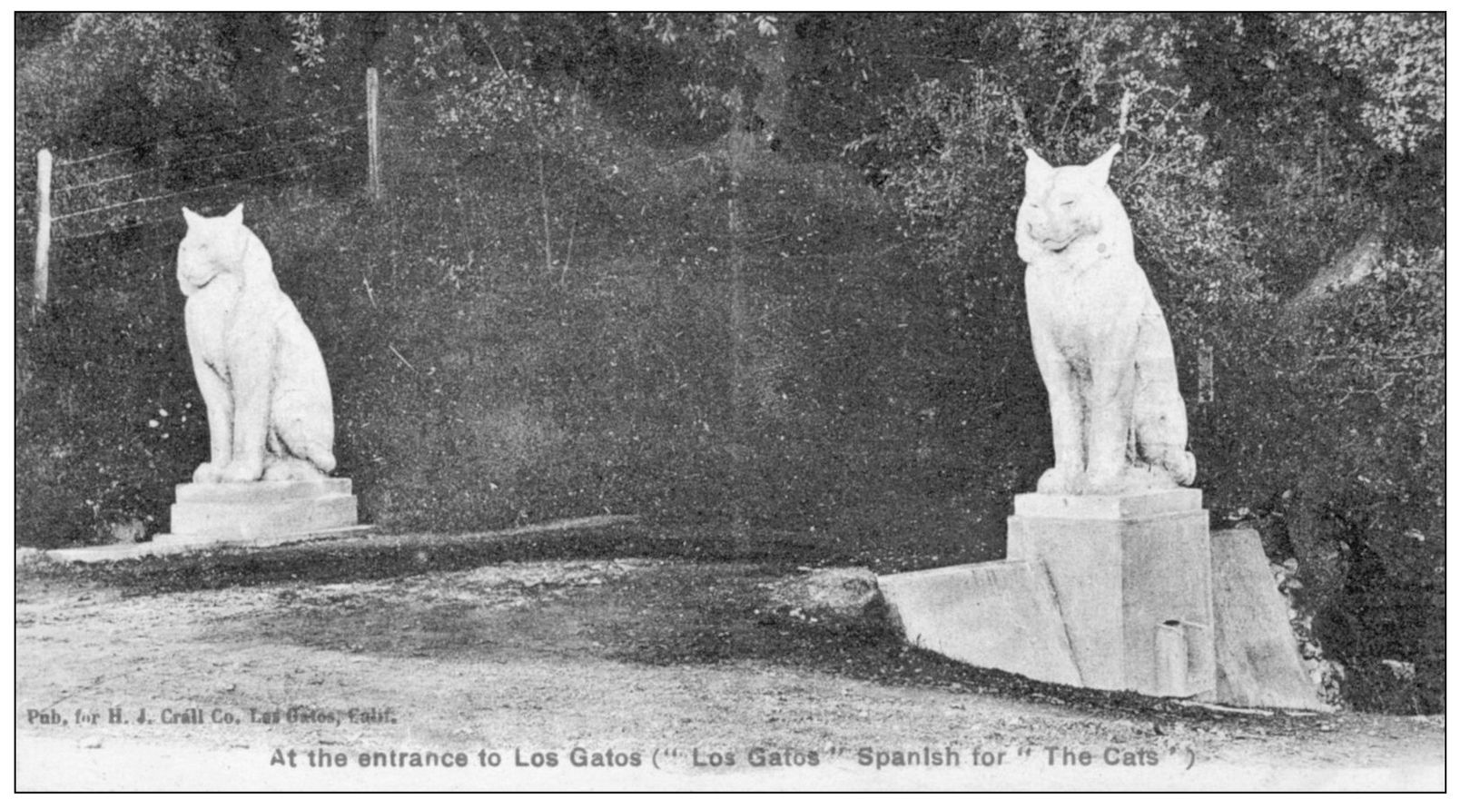 The objective to placing the cats where they stand was to impress Californians - photo 8