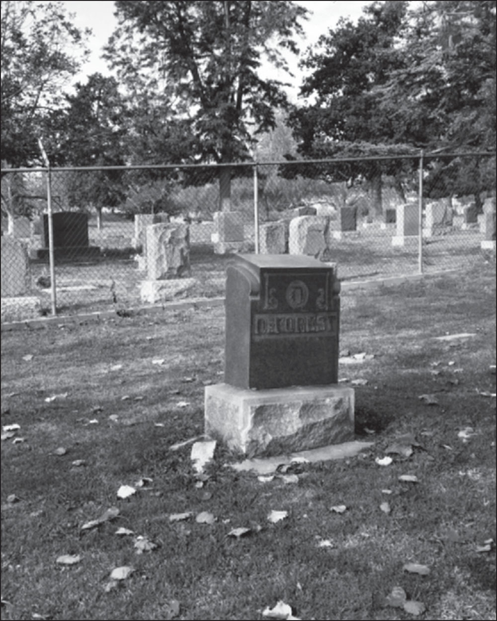 A chain-link fence separates the Municipal and Sunnyside Cemeteriesthe two - photo 2