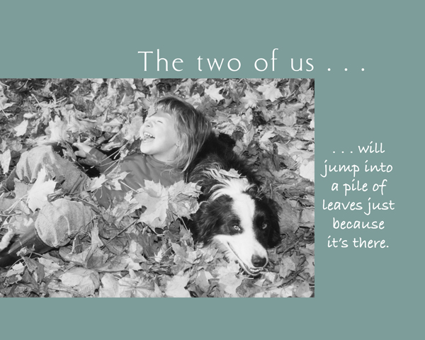 The Two of Us A Book About Dogs and Their Owners - photo 8