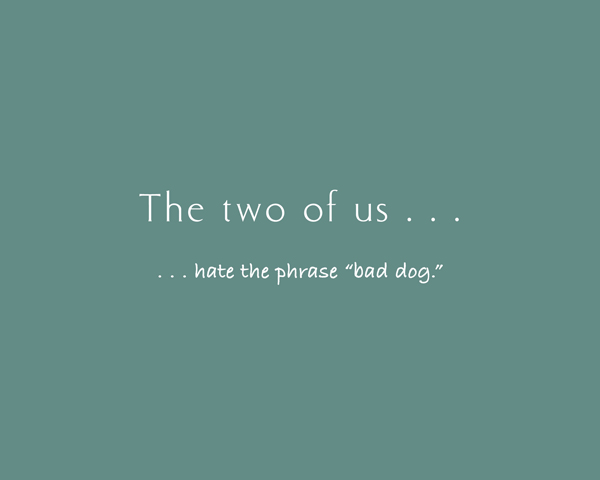 The Two of Us A Book About Dogs and Their Owners - photo 26