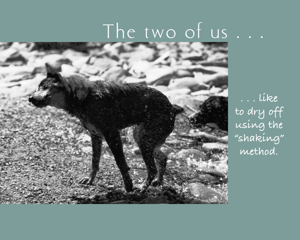 The Two of Us A Book About Dogs and Their Owners - photo 29