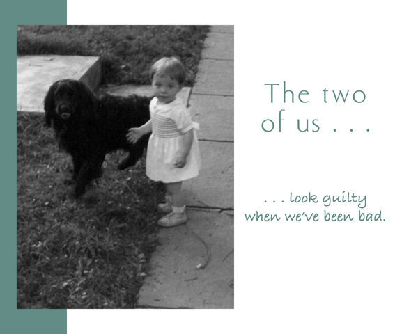 The Two of Us A Book About Dogs and Their Owners - photo 30