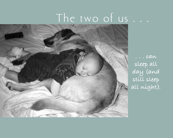 The Two of Us A Book About Dogs and Their Owners - photo 38