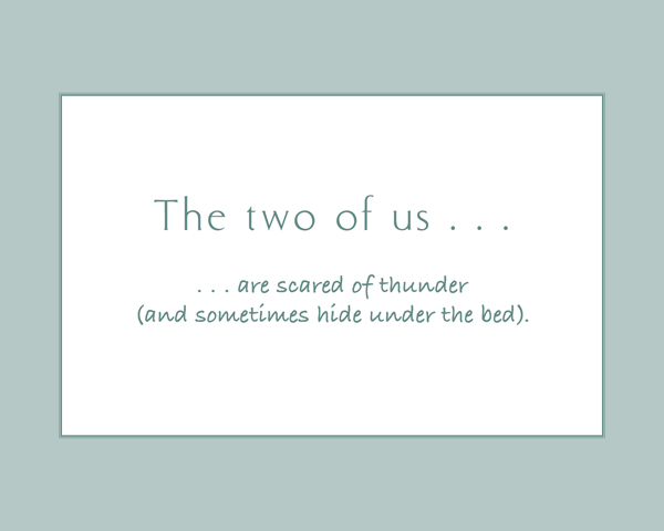 The Two of Us A Book About Dogs and Their Owners - photo 44