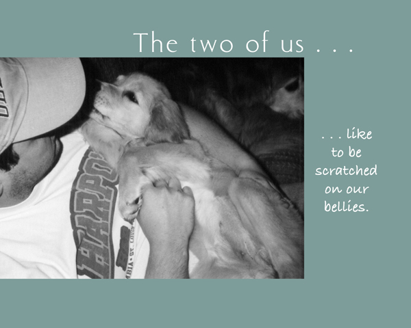 The Two of Us A Book About Dogs and Their Owners - photo 48